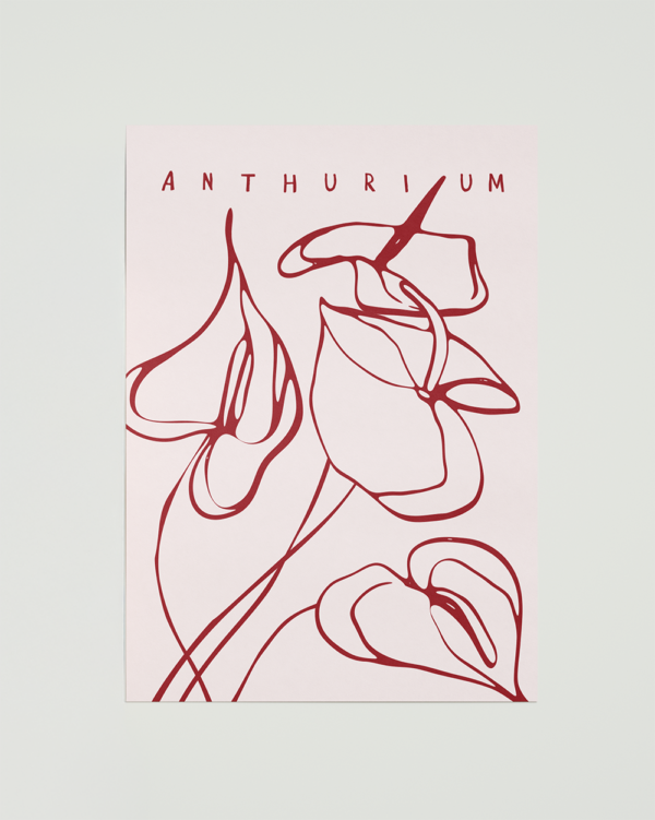 Anthurium